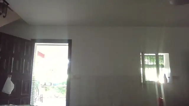 llopaco online show from July 2026 11:56:01 AM