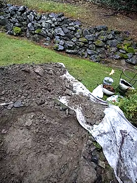 Snapshot of KingSlim56 chatting on November 2025 08:16:01 PM KingSlim56 online show from November 2025 08:16:01 PM