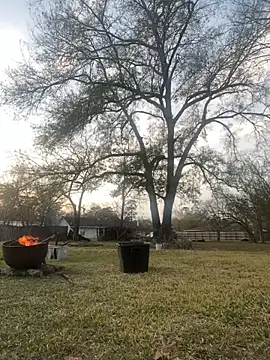 HTXBELLE online show from January 2026 11:19:01 PM