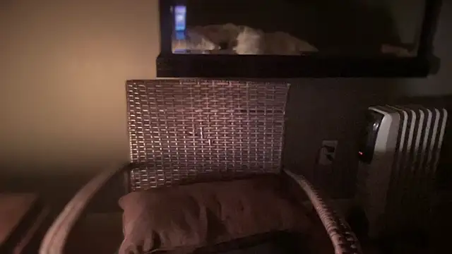 DominantDong online show from February 2025 11:25:01 AM