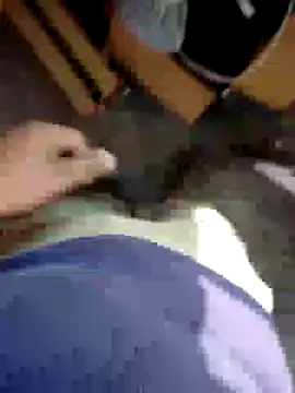 Snapshot of kris478 chatting on November 2025 08:09:01 AM kris478 online show from November 2025 08:09:01 AM