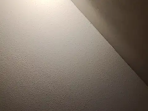 taterae online show from November 2025 12:05:02 PM