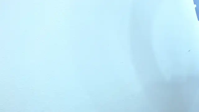 sebastian colle online show from February 2025 03:08:02 PM