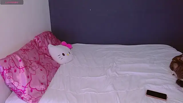 hellokitty  valery online show from October 2025 03:45:02 AM