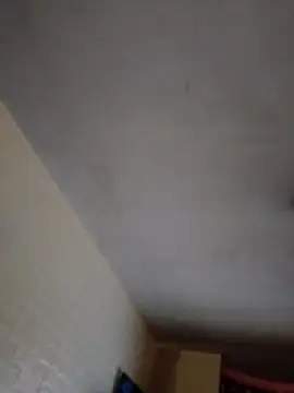 JairElGrillo online show from November 2025 10:10:02 PM