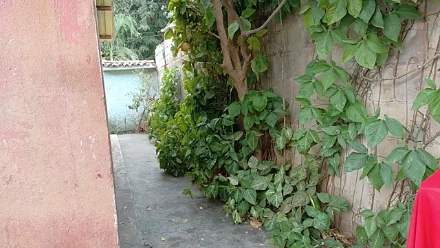 twinks 28 online show from January 2026 08:45:02 PM