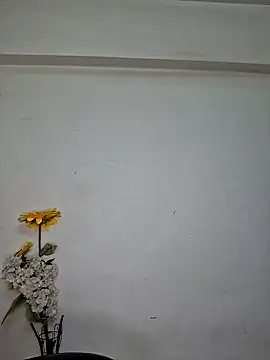 Snapshot of Noor-Bold chatting on November 2025 02:00:01 AM Noor-Bold online show from November 2025 02:00:01 AM