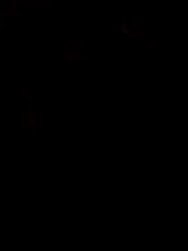 viviksmel online show from October 2025 11:51:02 AM