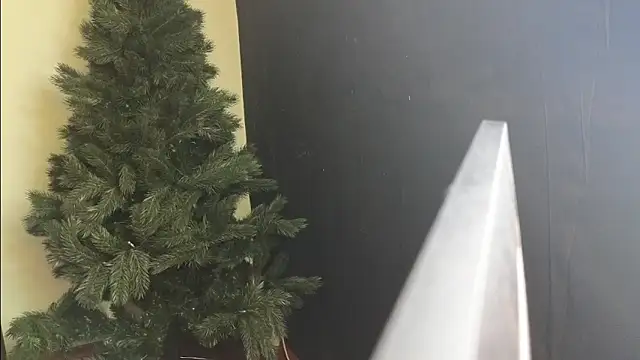 Maya Mayflower online show from March 2025 12:12:01 PM