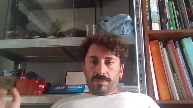 Febo6666 online show from July 2026 12:11:02 PM