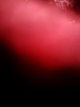 punam259 online show from December 2025 02:32:02 AM