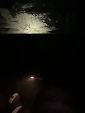 bangherbhb online show from March 2025 08:15:02 AM