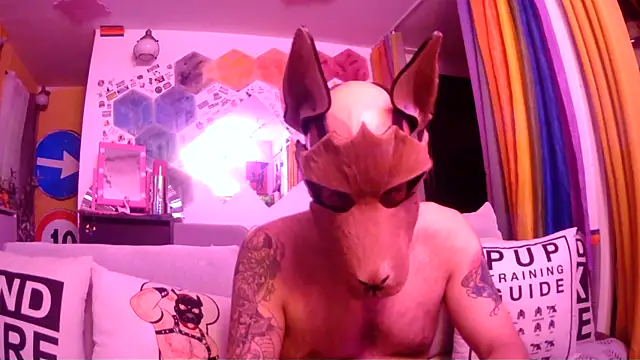 danix wild wolf online show from May 2026 11:06:02 PM