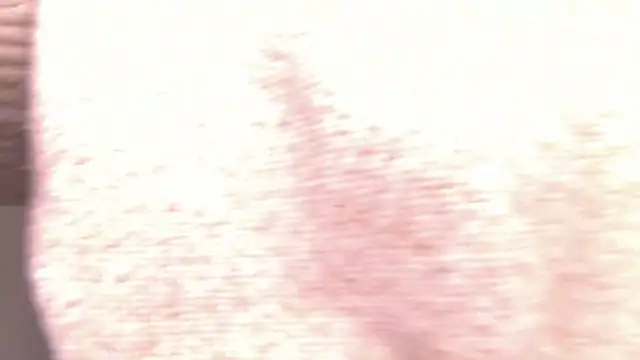 MiraBliss online show from February 2026 10:19:01 PM