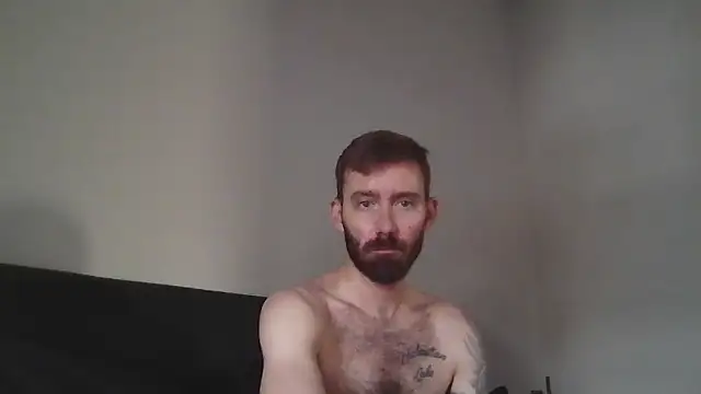 Snapshot of whowantsacreampie chatting on March 2025 08:54:01 PM whowantsacreampie online show from March 2025 08:54:01 PM