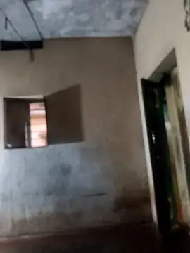 PolarFriend0 online show from February 2026 12:56:02 PM