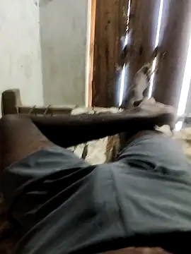 PolarFriend0 online show from February 2026 07:54:02 AM