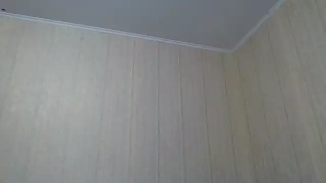  Black-Panther  online show from September 2025 10:31:01 AM