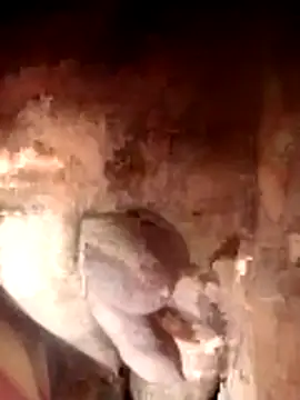 Ayush pussy fucker online show from November 2025 06:08:01 PM