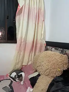 Candy Roose online show from September 2025 09:09:01 AM