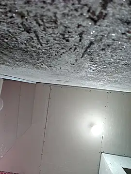 membro destruidor online show from March 2026 05:13:02 PM