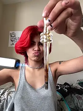 Harley cams online show from March 2025 02:56:01 PM