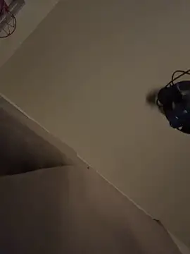 shurthingx online show from March 2026 09:03:01 AM