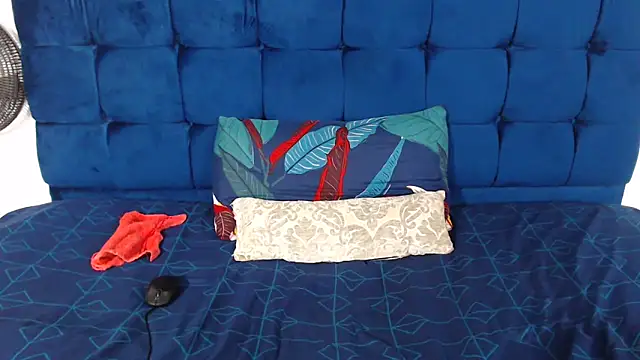 Snapshot of AriesCake chatting on December 2025 11:38:02 AM AriesCake online show from December 2025 11:38:02 AM