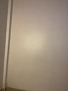 taimara 1 online show from March 2026 02:46:02 PM