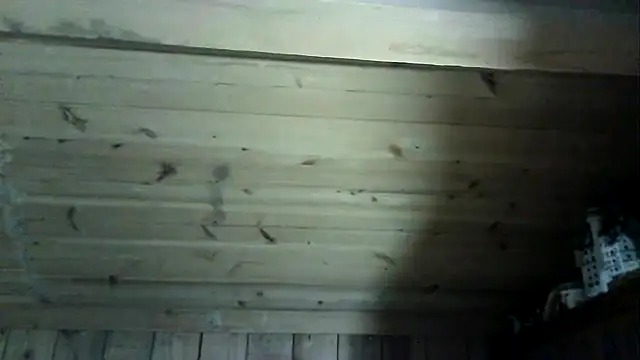 Angelsordemons6 online show from March 2026 08:26:02 PM