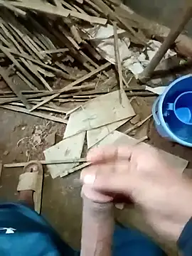 zim200 online show from November 2025 06:35:01 AM