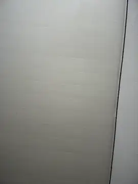 sara calderon online show from March 2026 01:39:01 PM