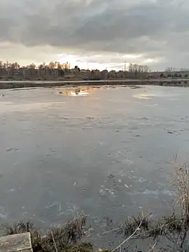 elliot scott online show from October 2025 10:37:01 AM