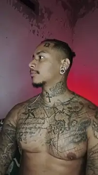 David tatto1 online show from February 2026 03:44:01 AM