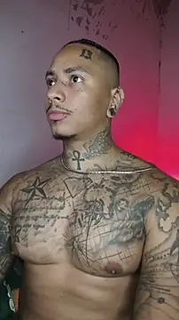 David tatto1 online show from February 2026 03:17:01 AM