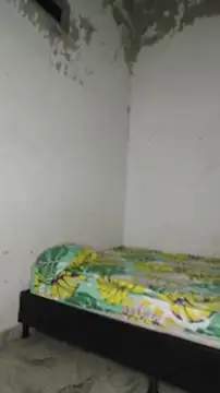 David tatto1 online show from April 2026 03:07:02 AM