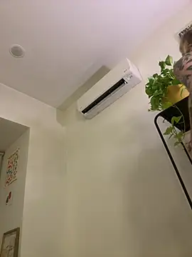 seeunexttuesday online show from March 2026 11:38:01 PM