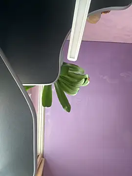 Snapshot of Soft_Pleasure chatting on October 2025 10:59:01 AM Soft Pleasure online show from October 2025 10:59:01 AM