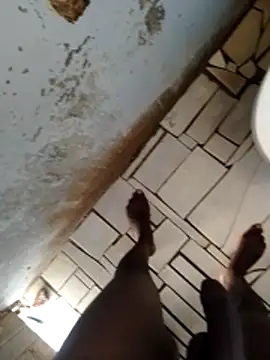 92donis online show from March 2026 11:46:01 AM