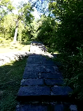 zack23088 online show from October 2025 12:41:02 AM