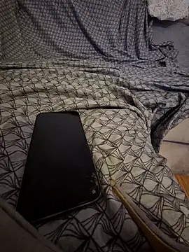 pikuslordpll online show from April 2026 04:21:02 AM