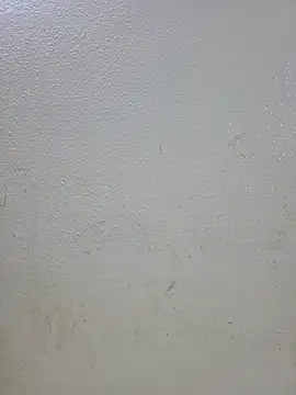 titooritax online show from November 2025 11:29:01 PM