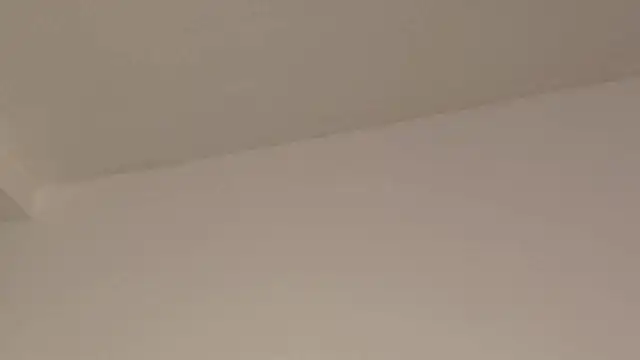 Aleecandrews online show from November 2025 07:35:01 PM