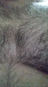 LeoMaduroSP online show from January 2026 07:45:02 AM