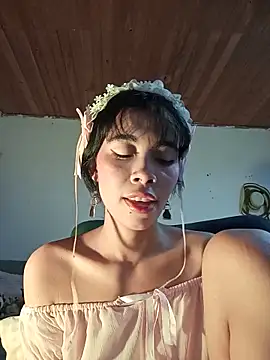 dolliette24 online show from June 2026 01:04:02 PM