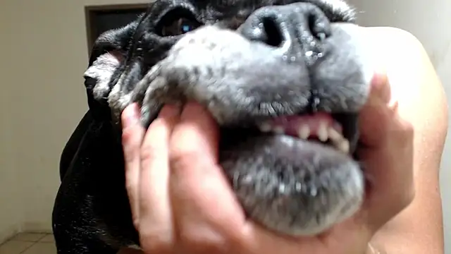 BlondZilla online show from March 2026 06:27:02 AM