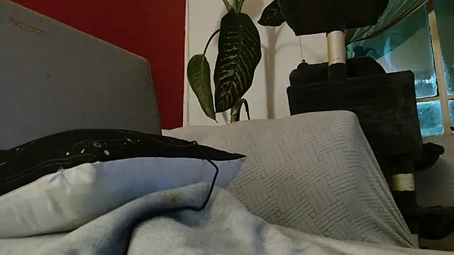 Snapshot of Tulindabonny chatting on March 2026 05:04:02 AM Tulindabonny online show from March 2026 05:04:02 AM