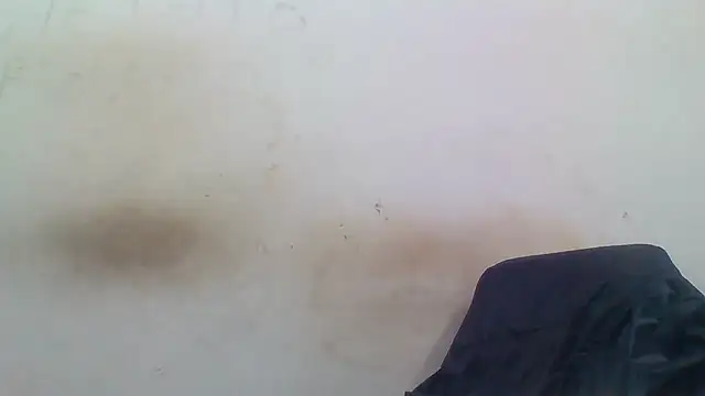 Snapshot of sasatimido chatting on December 2025 01:31:02 PM sasatimido online show from December 2025 01:31:02 PM