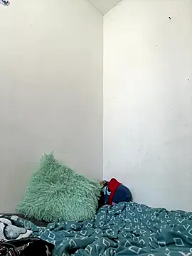 Snapshot of methme chatting on December 2025 04:45:01 PM methme online show from December 2025 04:45:01 PM