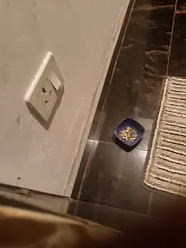 Snapshot of HootedTuner chatting on November 2025 08:08:02 PM HootedTuner online show from November 2025 08:08:02 PM